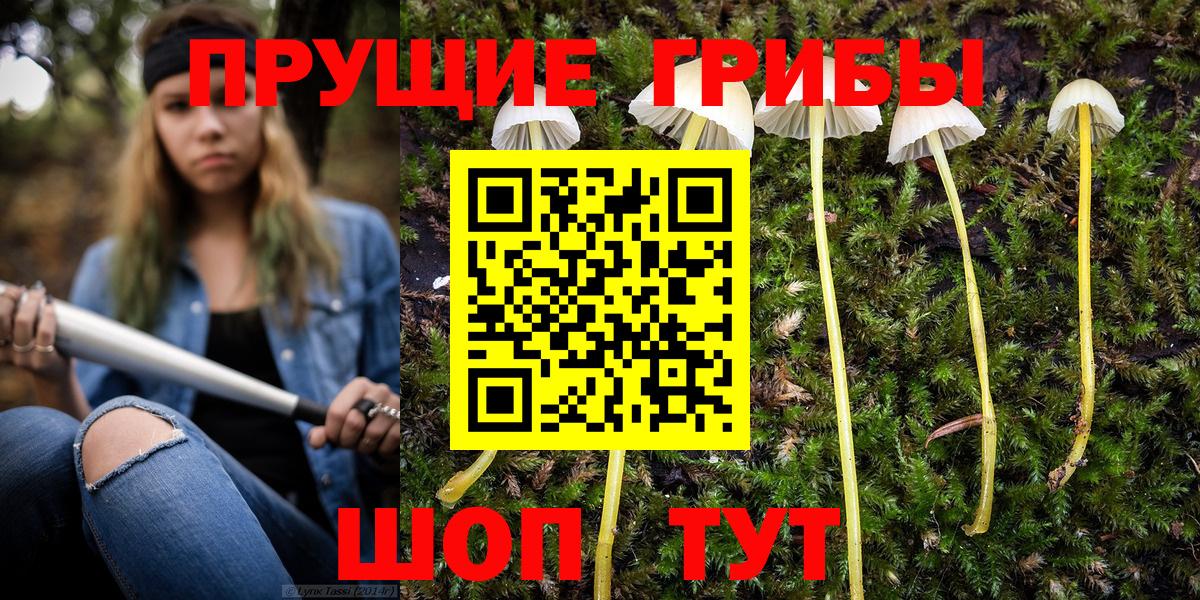 Псилоцибиновые грибы Psilocybe  Вход с VPN  Галлюциногенные грибы GOLDEN TEACHER  Тайшет 